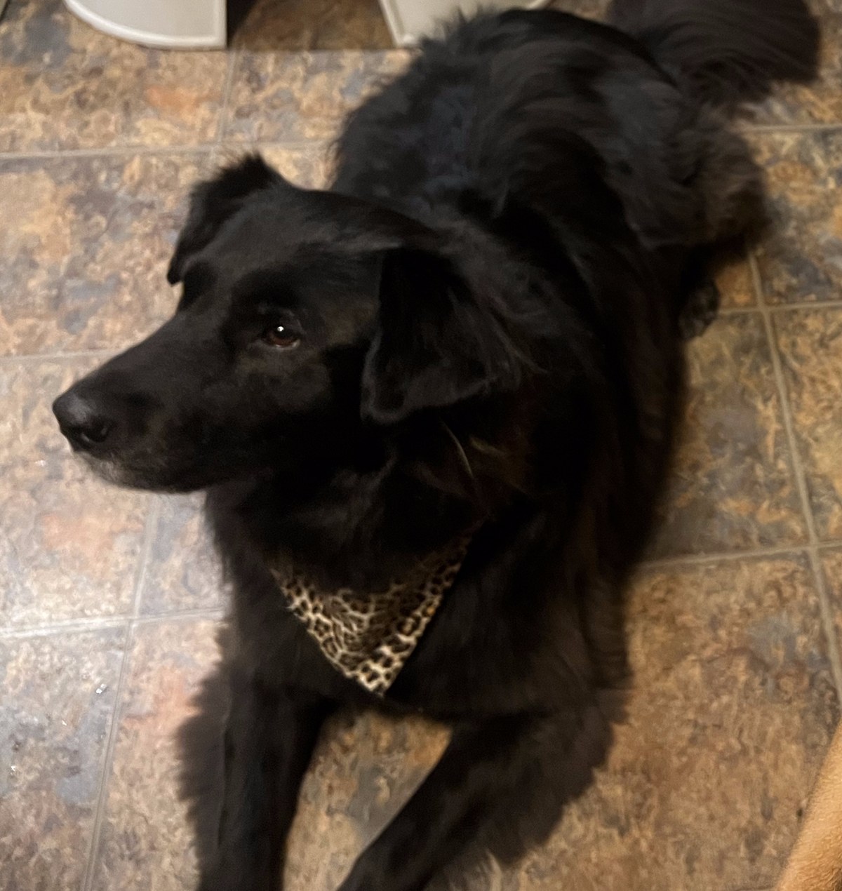 Ruby Lu, our beautiful girl